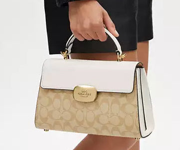 Sac de luxe pour femme / F3000393