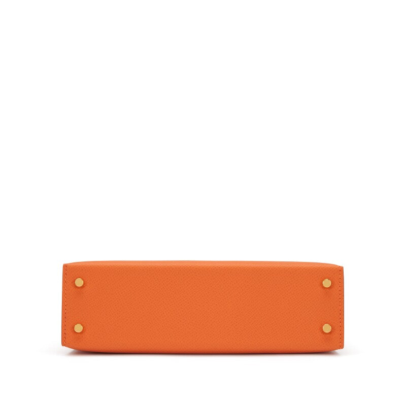 Sac de luxe pour femme / F3000371