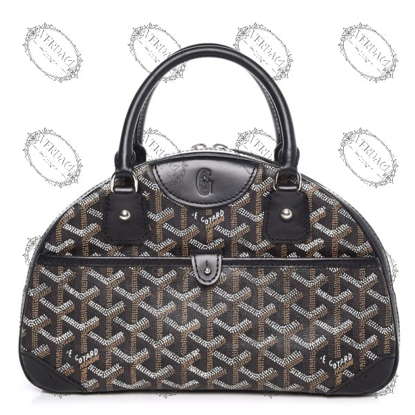 Sac de luxe pour femme / F3000163