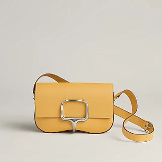 Sac de luxe pour femme / F3000395