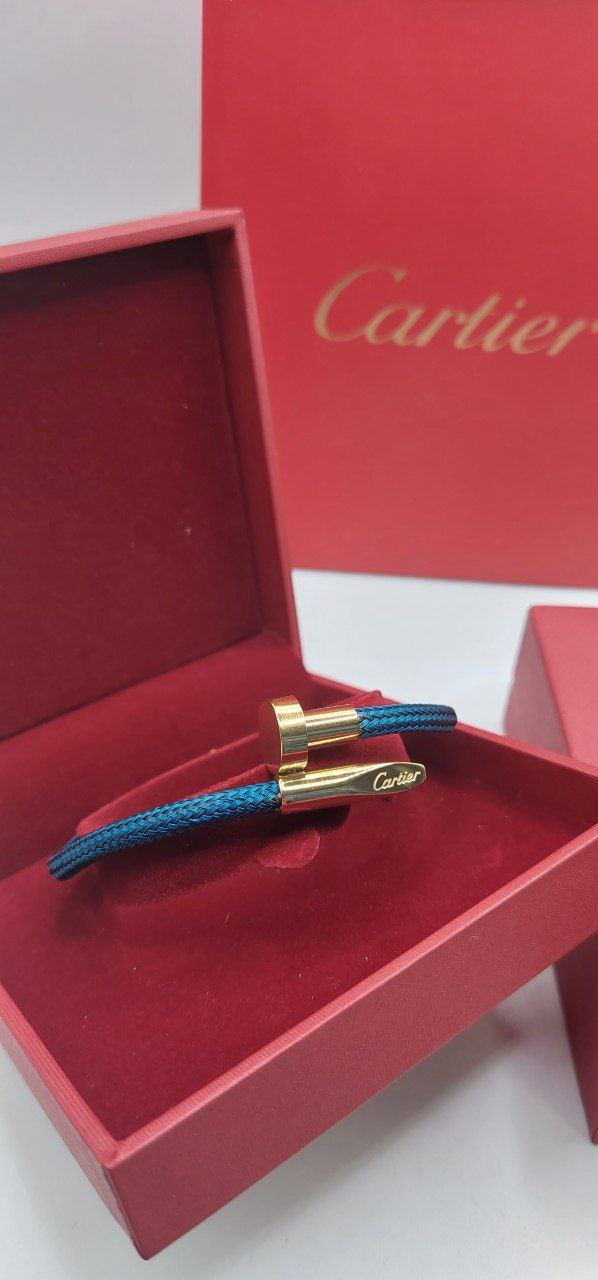 Bracelet de Luxe Pour Homme / H300127