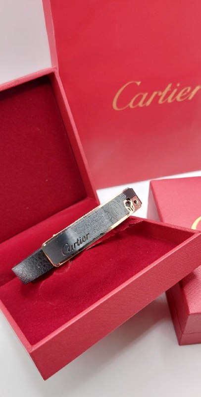Bracelet de Luxe Pour Homme / H300119