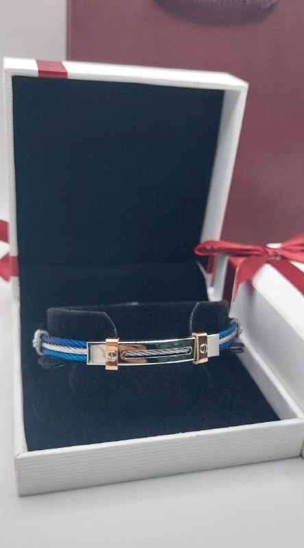 Bracelet de Luxe Pour Homme / H300173
