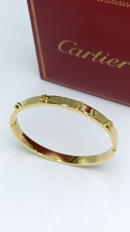 Bracelet De Luxe Pour Femme / F30091