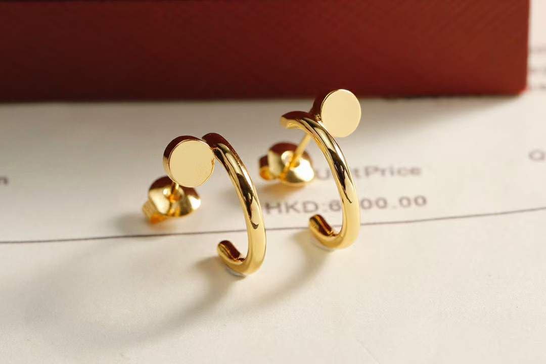 Boucles d'oreilles  de Luxe Pour Femme / F300274