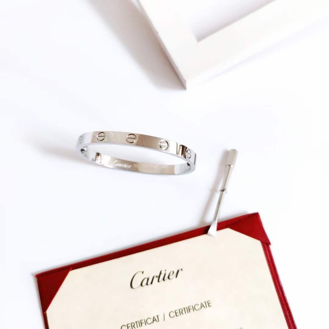 Bracelet de Luxe Pour Femme / F300314