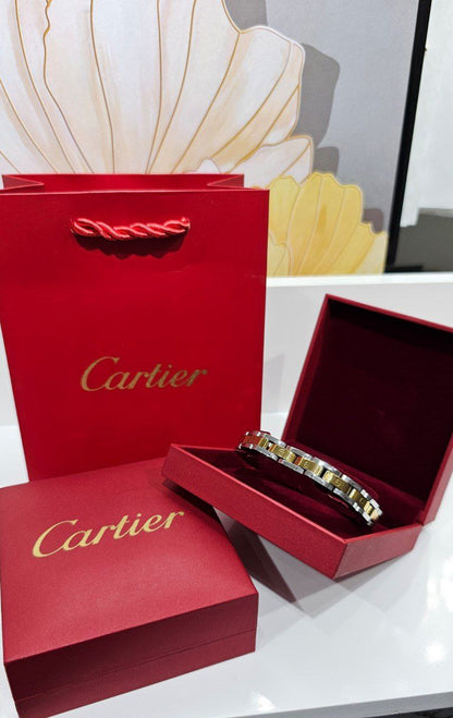 Bracelet de Luxe Pour Homme / H300730