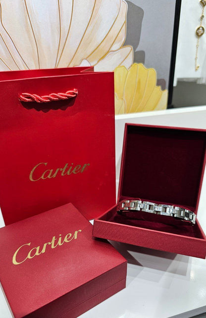Bracelet de Luxe Pour Homme / H300730