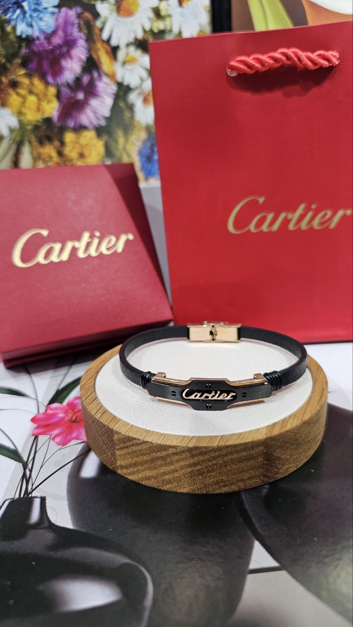 Bracelet de Luxe Pour Homme / F300765