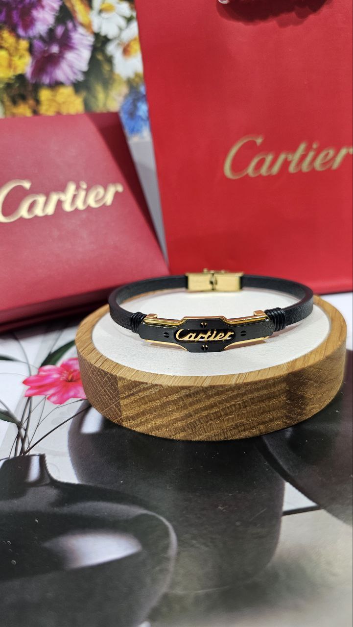 Bracelet de Luxe Pour Homme / F300765