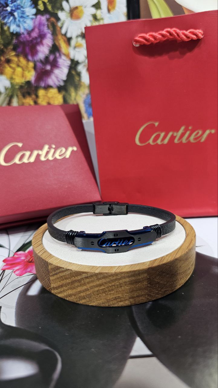 Bracelet de Luxe Pour Homme / F300765