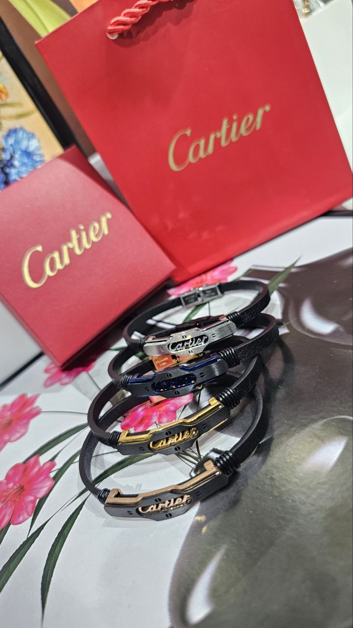 Bracelet de Luxe Pour Homme / F300765