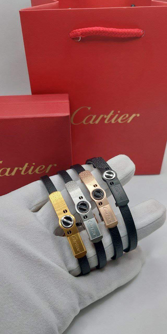 Bracelet de Luxe Pour Homme / F300770