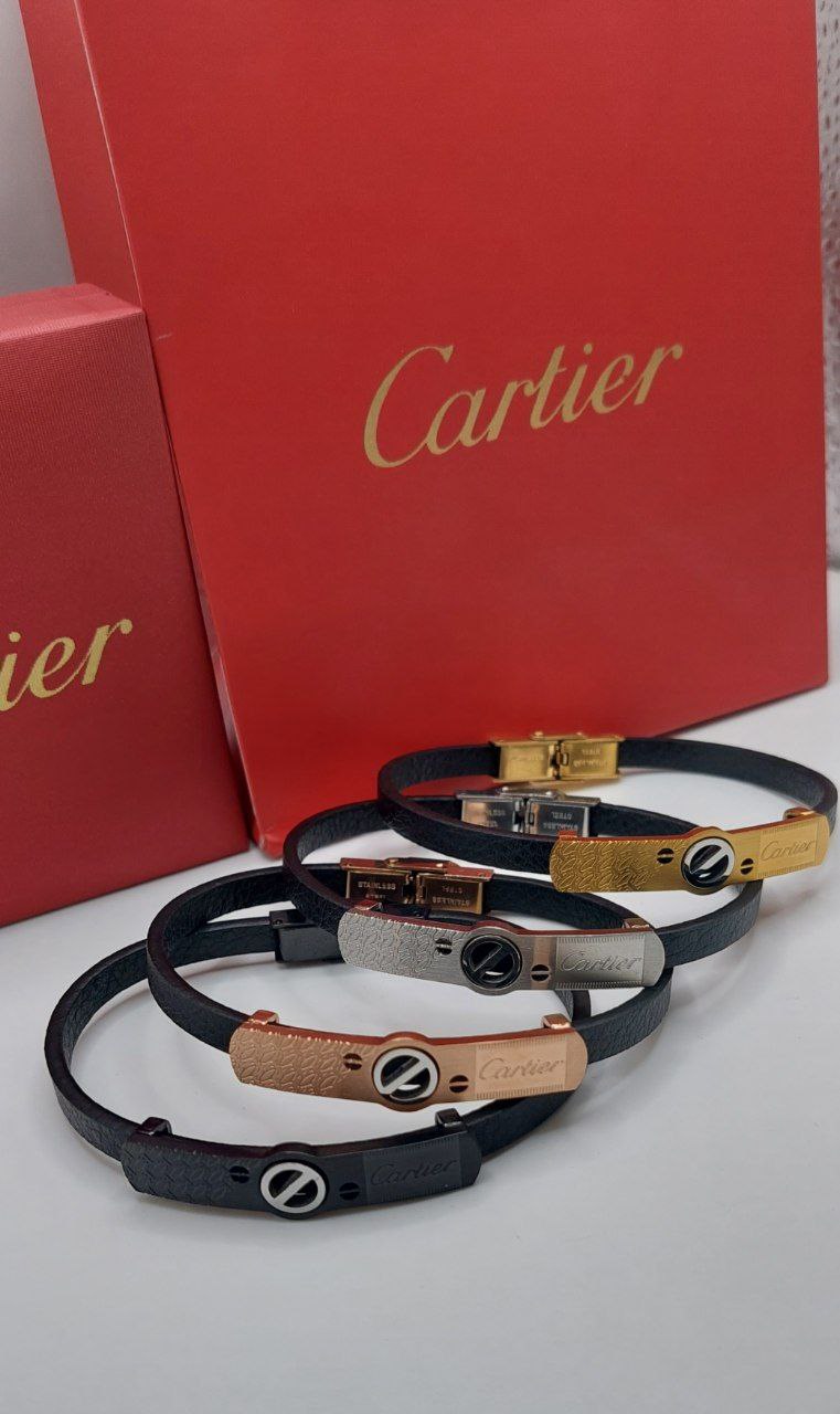 Bracelet de Luxe Pour Homme / F300770