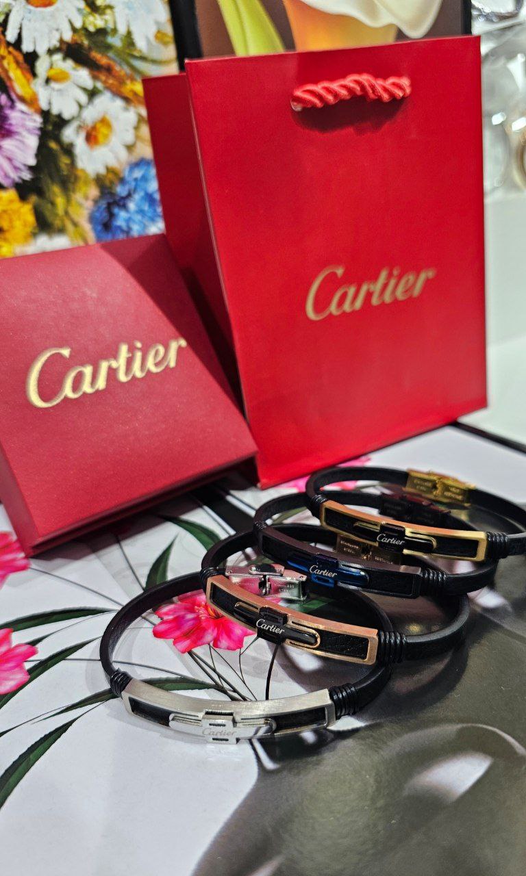 Bracelet de Luxe Pour Homme / F300772