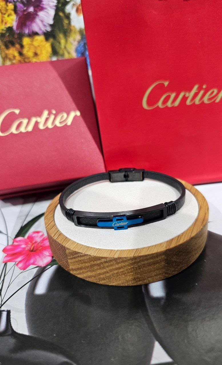 Bracelet de Luxe Pour Homme / F300772