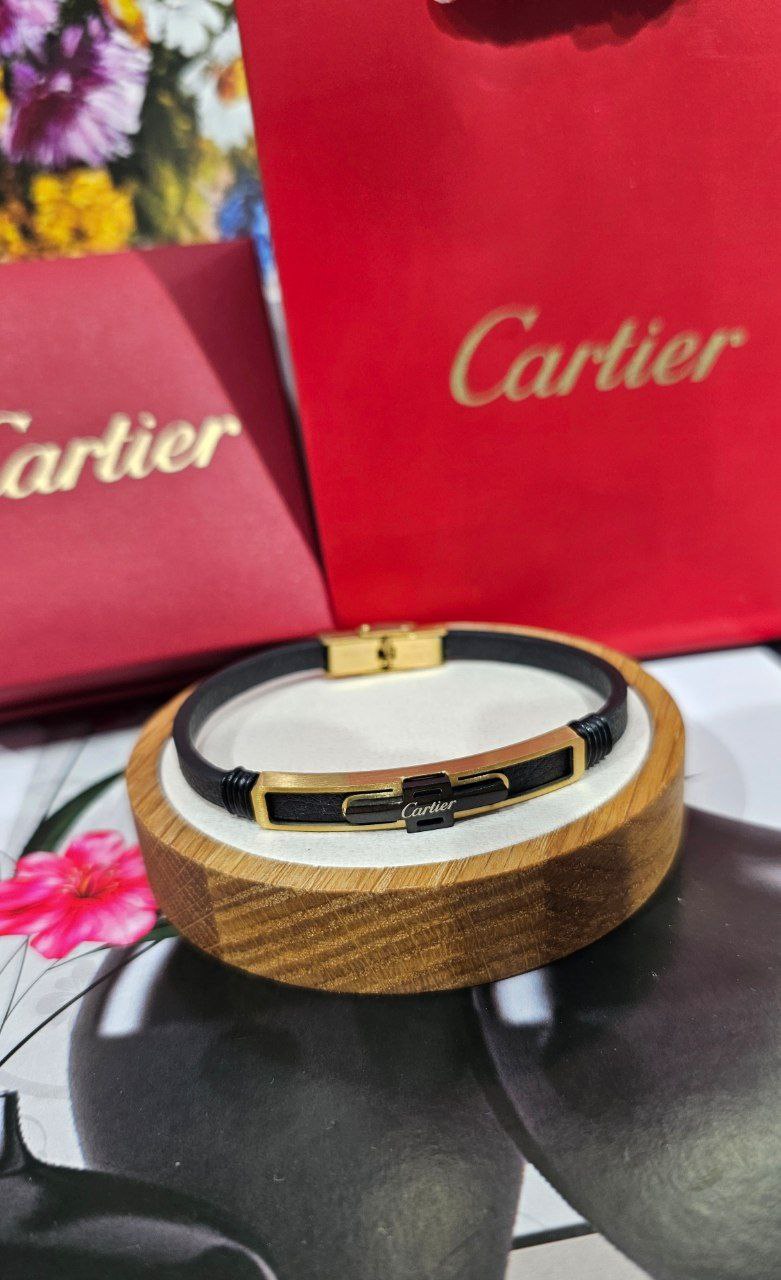 Bracelet de Luxe Pour Homme / F300772