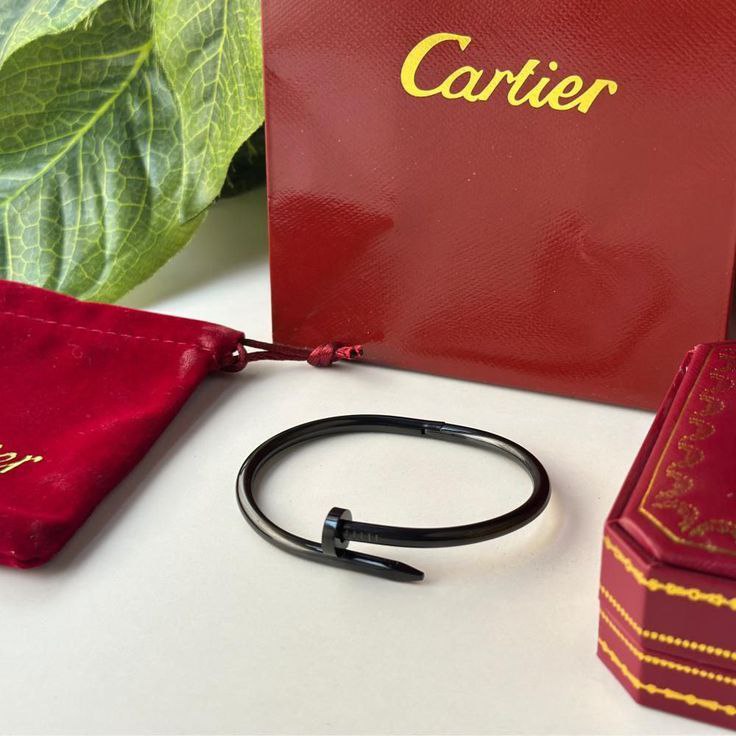 Bracelet de Luxe Pour Homme / F300760