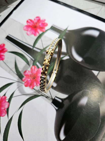 Bracelet de Luxe Pour Homme / F300779