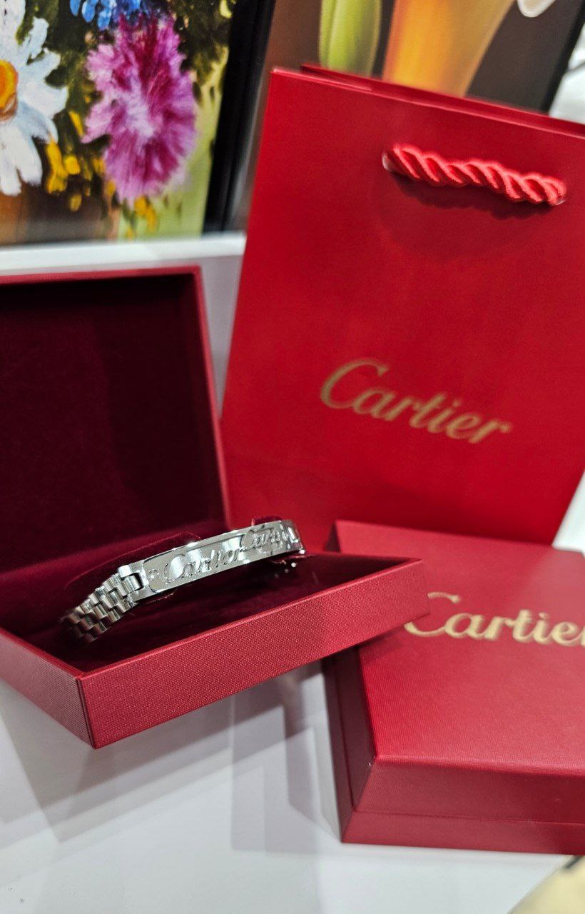 Bracelet de Luxe Pour Homme / F300785