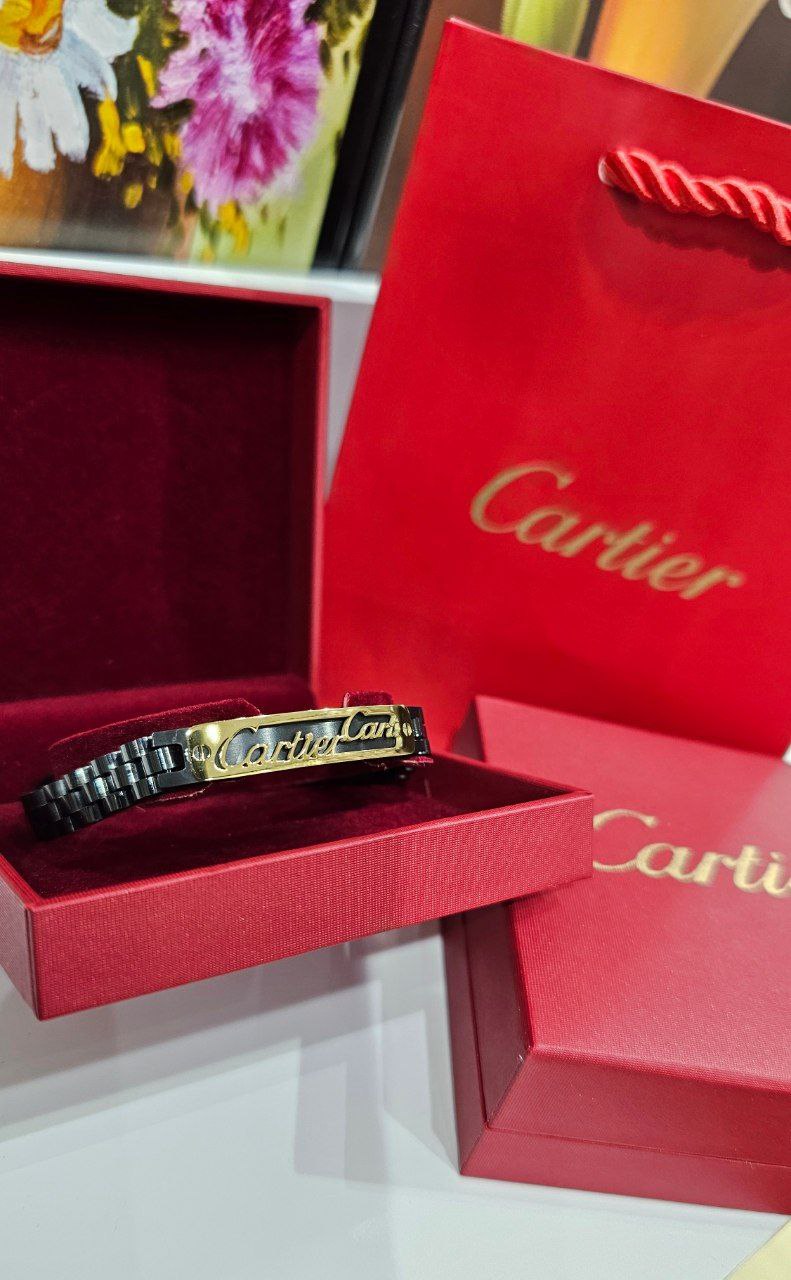 Bracelet de Luxe Pour Homme / F300785