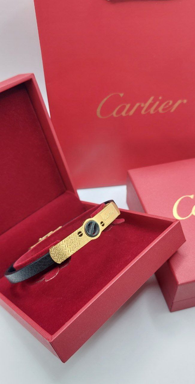 Bracelet de Luxe Pour Homme / F300794