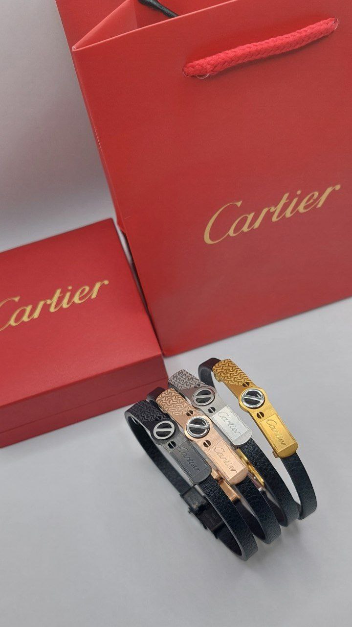 Bracelet de Luxe Pour Homme / F300794