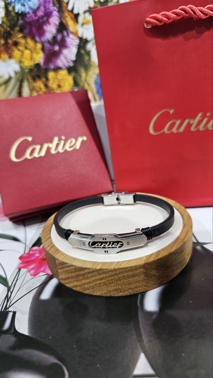 Bracelet de Luxe Pour Homme / F300795