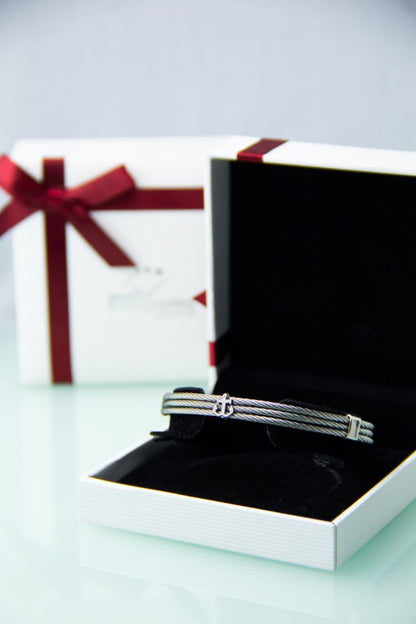 Bracelet de Luxe Pour Homme / F300803