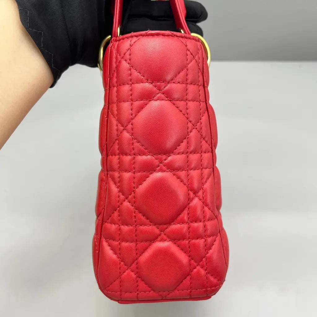 Sac de luxe pour femme / F3000258